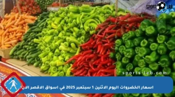 أسعار الخضروات اليوم الإثنين 1 سبتمبر 2025 في أسواق الأقصر الآن